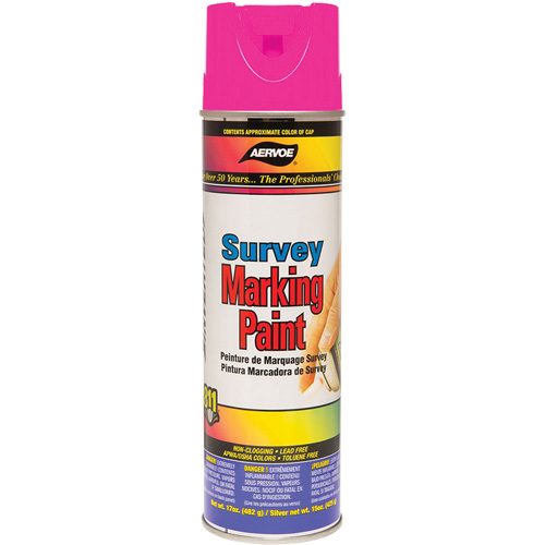 Solvent-Based Marking Paint, 17 oz., Aerosol Can PB Rental Co. Ltd.