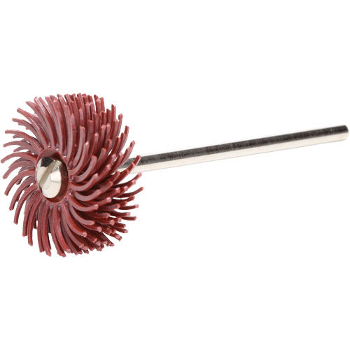 Scotch-Brite Radial Bristle Discs, P220X Grit, 3/4" Dia. PB Rental Co. Ltd.