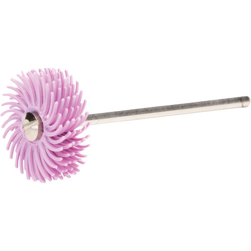 Scotch-Brite Radial Bristle Discs, Pumice Grit, 3/4" Dia. PB Rental Co. Ltd.
