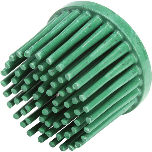 Disques bristle Roloc, C&eacute;ramique, Grain 50, 1" dia. PB Rental Co. Ltd.