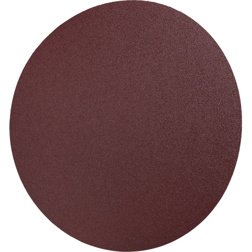PSA Cloth Disc 248D, 12" Dia., 36 Grit, Aluminum Oxide PB Rental Co. Ltd.