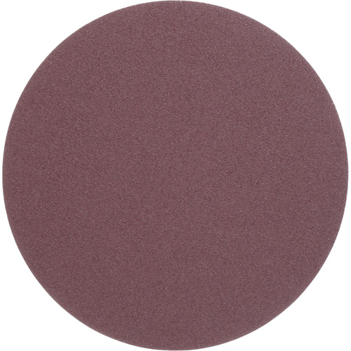 PSA Cloth Disc 248D, 12" Dia., 50 Grit, Aluminum Oxide PB Rental Co. Ltd.