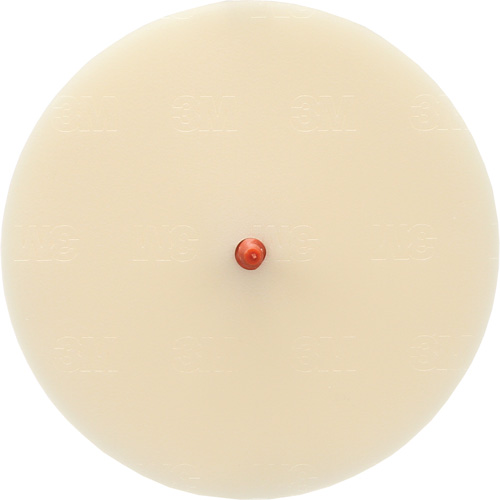 Disque Scotch-Brite 7502 pour retrait de colle et de bandes de moulage, 6" dia. PB Rental Co. Ltd.