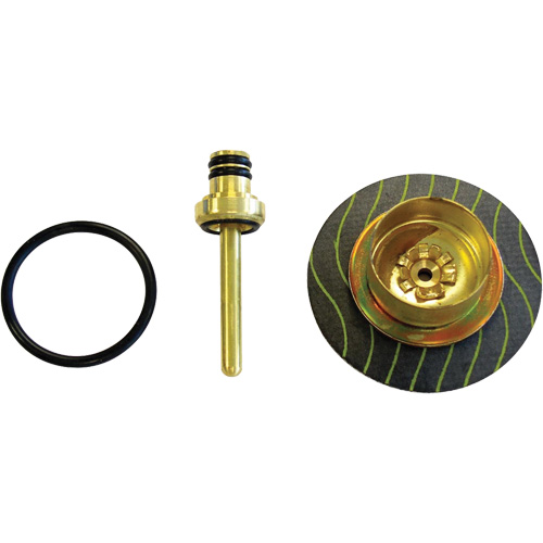 Filter/Regulator - Relieving Diaphragm & Valve Assembly PB Rental Co. Ltd.