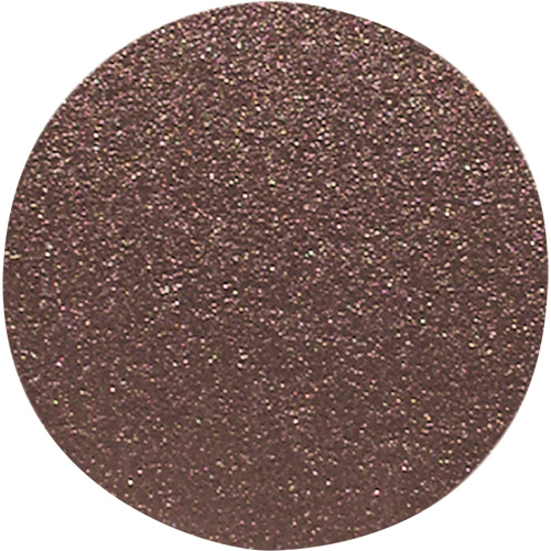 Disque de ponçage pour le bois, 12" dia., Grain 60 PB Rental Co. Ltd.