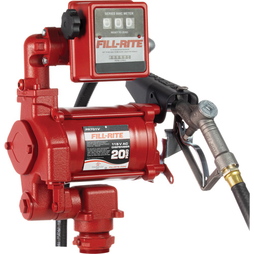 Pompes &agrave; palettes, rotatives & utilitaires, c.a., 115 V, 20 gal./min PB Rental Co. Ltd.