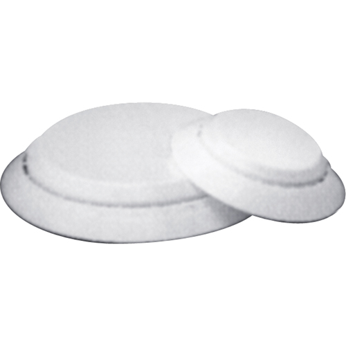 Capuchons d'&eacute;tanch&eacute;it&eacute; inviolables - Capuchons d'&eacute;tanch&eacute;it&eacute; en plastique, 2" PB Rental Co. Ltd.