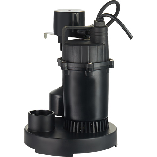 Pompe de puisard submersible thermoplastique, 2560 gal./h, 115 V, 4,6 A, 1/3 CV PB Rental Co. Ltd.