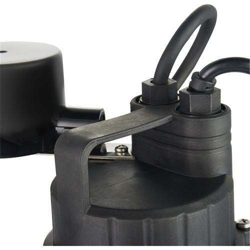 Pompe de puisard submersible thermoplastique, 2560 gal./h, 115 V, 4,6 A, 1/3 CV PB Rental Co. Ltd.