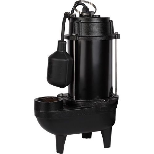 Cast Iron Effluent Pump, 4800 GPH, 120 V, 7.8 A, 1/2 HP PB Rental Co. Ltd.