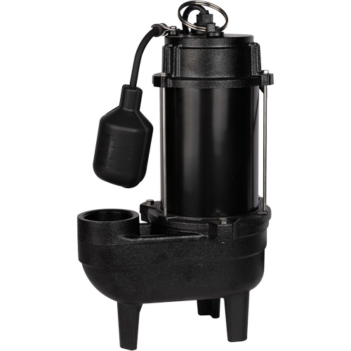 Pompe d'&eacute;gout en fonte, 120 V, 9,5 A, 6000 gal./h, 1/2 CV PB Rental Co. Ltd.