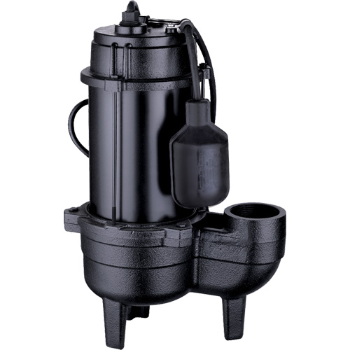 Pompe d'&eacute;gout en fonte, 120 V, 9,5 A, 6000 gal./h, 1/2 CV PB Rental Co. Ltd.