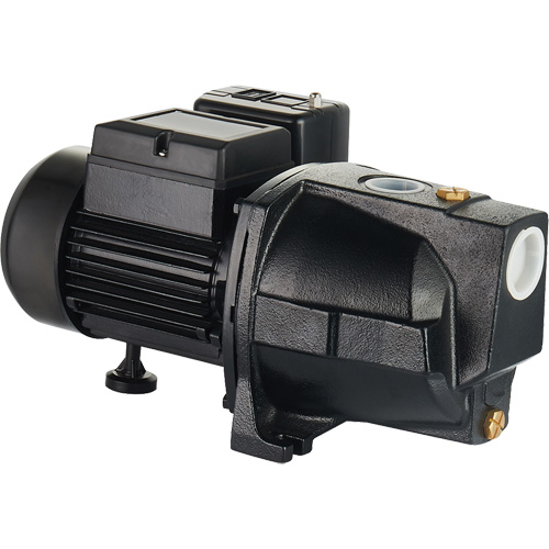 Dual Voltage Cast Iron Shallow Well Jet Pump, 115 V/230 V, 1100 GPH, 1 HP PB Rental Co. Ltd.