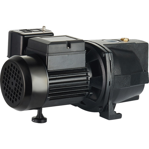 Dual Voltage Cast Iron Shallow Well Jet Pump, 115 V/230 V, 1100 GPH, 1 HP PB Rental Co. Ltd.