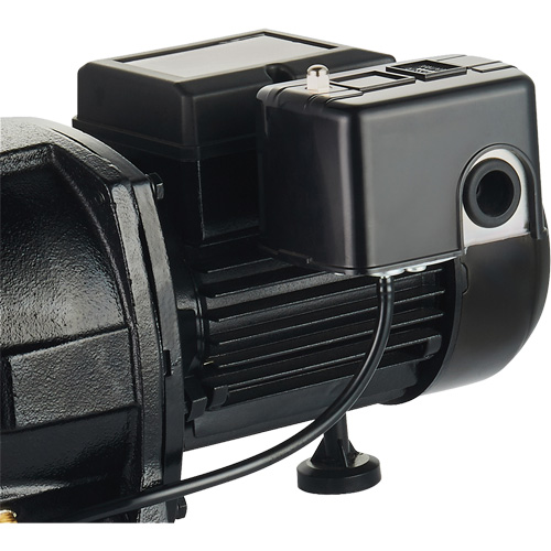 Dual Voltage Cast Iron Shallow Well Jet Pump, 115 V/230 V, 1100 GPH, 1 HP PB Rental Co. Ltd.