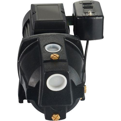 Dual Voltage Cast Iron Shallow Well Jet Pump, 115 V/230 V, 1100 GPH, 1 HP PB Rental Co. Ltd.