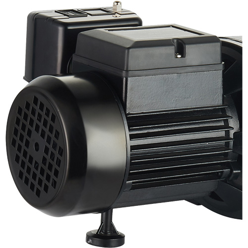 Dual Voltage Cast Iron Shallow Well Jet Pump, 115 V/230 V, 1100 GPH, 1 HP PB Rental Co. Ltd.