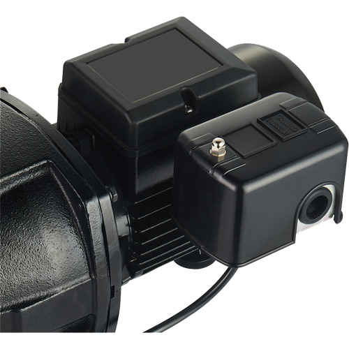 Dual Voltage Cast Iron Shallow Well Jet Pump, 115 V/230 V, 1100 GPH, 1 HP PB Rental Co. Ltd.