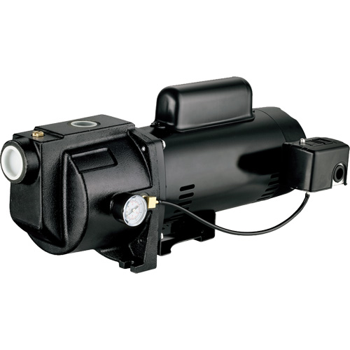 Dual Voltage Cast Iron Shallow Well Jet Pump, 115 V/230 V, 1260 GPH, 1 HP PB Rental Co. Ltd.