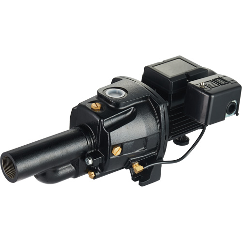 Pompe &agrave; jet en fonte &agrave; double tension transformable, 115 V/230 V, 1400 gal./h, 3/4 CV PB Rental Co. Ltd.