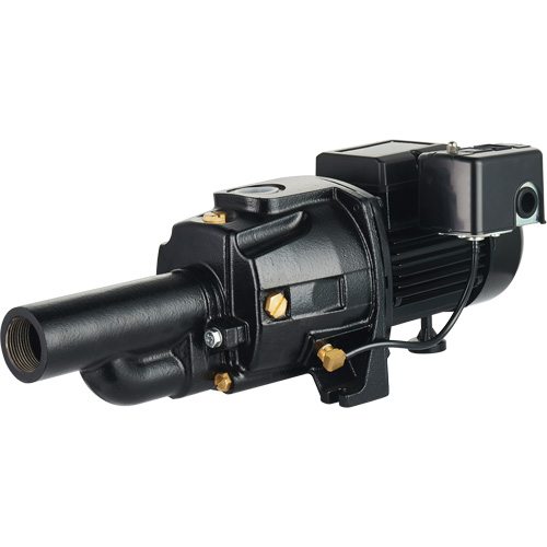 Pompe &agrave; jet en fonte &agrave; double tension transformable, 115 V/230 V, 1400 gal./h, 3/4 CV PB Rental Co. Ltd.