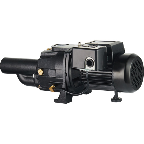 Pompe &agrave; jet en fonte &agrave; double tension transformable, 115 V/230 V, 1400 gal./h, 3/4 CV PB Rental Co. Ltd.