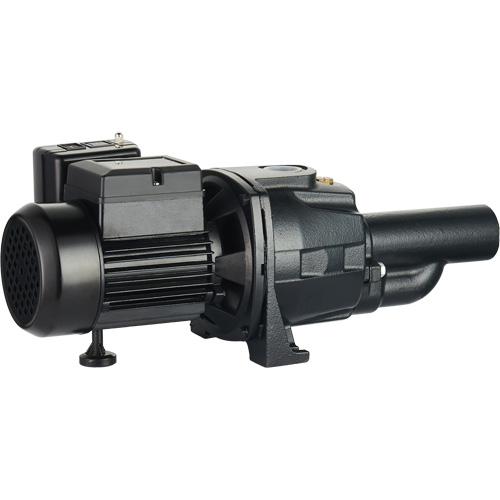 Pompe &agrave; jet en fonte &agrave; double tension transformable, 115 V/230 V, 1400 gal./h, 3/4 CV PB Rental Co. Ltd.