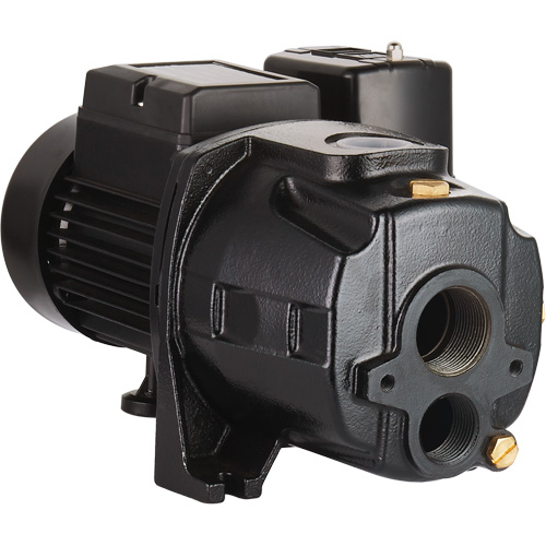 Pompe &agrave; jet en fonte &agrave; double tension transformable, 115 V/230 V, 1400 gal./h, 3/4 CV PB Rental Co. Ltd.