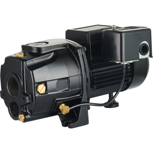 Pompe &agrave; jet en fonte &agrave; double tension transformable, 115 V/230 V, 1400 gal./h, 3/4 CV PB Rental Co. Ltd.