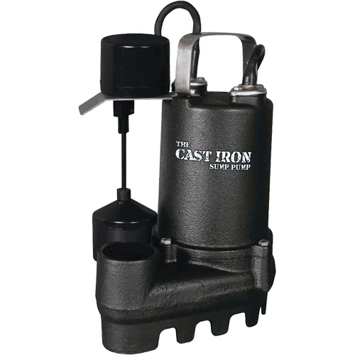Pompe de puisard submersible en fonte avec interrupteur &agrave; flotteur vertical, 67 gal./min, 33 V, 5 A, 1/3 CV PB Rental Co. Ltd.