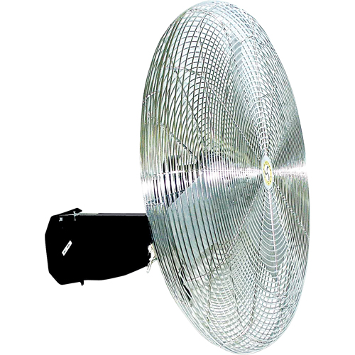 Ventilateur mural oscillant, Industriel, 3 vitesses, Diam&egrave;tre de 30" PB Rental Co. Ltd.
