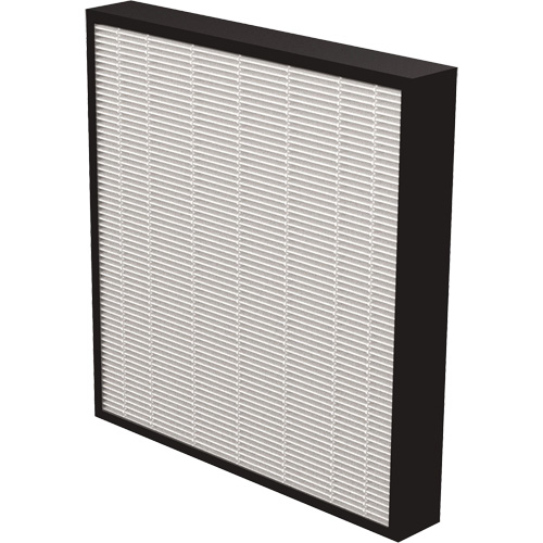 V&eacute;ritables filtres HEPA AeraMax Pro AM3 & AM4 2", Boîte, 13,75" la x 2,25" p x 14,38" h PB Rental Co. Ltd.