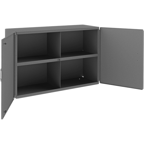 Wall-Mountable Cabinet, 24" H x 33-13/16" W x 12-3/8" D, 1 Shelves, Steel, Grey PB Rental Co. Ltd.