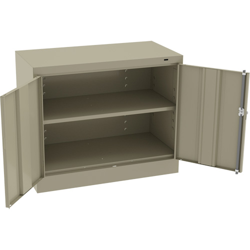 Standard Desk-High Cabinet, Steel, 30" H x 36" W x 18" D, Beige PB Rental Co. Ltd.