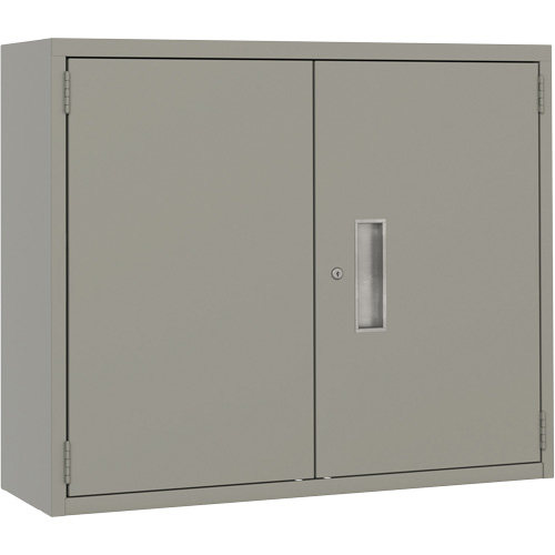 Wall Mounted Cabinet, Steel, 2 Shelves, 30" H x 36" W x 12" D, Grey PB Rental Co. Ltd.
