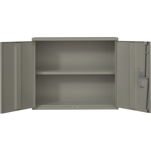 Wall Mounted Cabinet, Steel, 2 Shelves, 30" H x 36" W x 12" D, Grey PB Rental Co. Ltd.