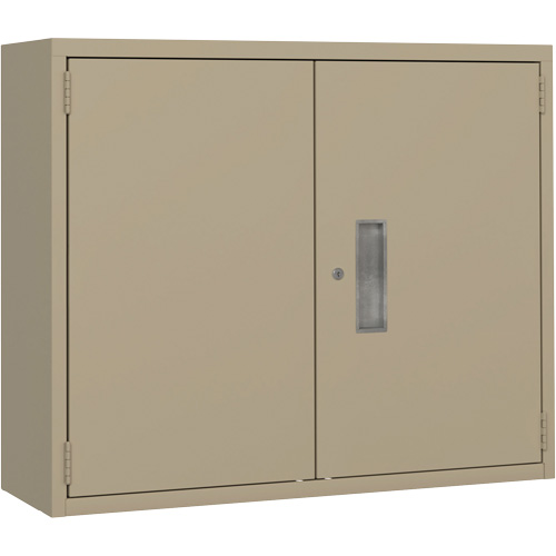 Wall Mounted Cabinet, Steel, 2 Shelves, 30" H x 36" W x 12" D, Beige PB Rental Co. Ltd.