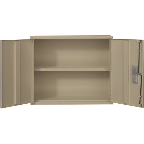 Wall Mounted Cabinet, Steel, 2 Shelves, 30" H x 36" W x 12" D, Beige PB Rental Co. Ltd.