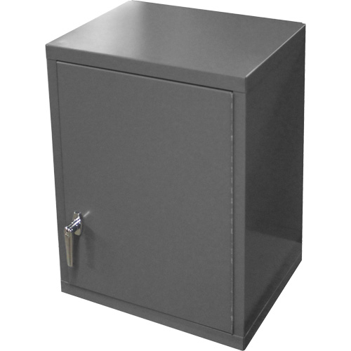Wall-Mounted Cabinet, 27" H x 13-11/16" W x 18" D, 2 Shelves, Steel, Grey PB Rental Co. Ltd.