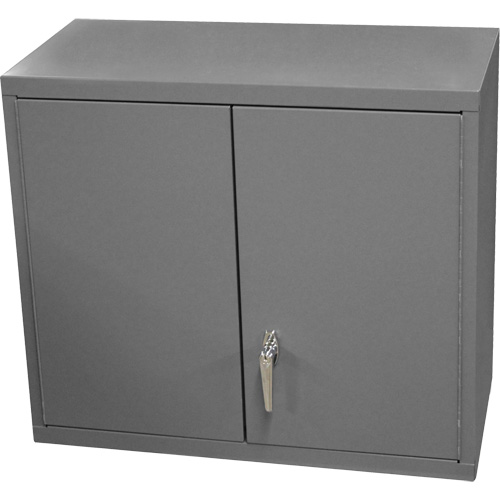 Armoire murale, 27" h x 13-11/16" la x 35-7/8" p, 2 tablettes, Acier, Gris PB Rental Co. Ltd.