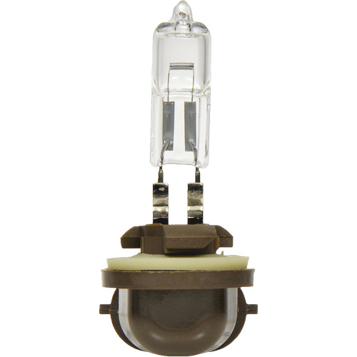886 Basic Fog Light Bulb, Halogen, 50 W, Off White PB Rental Co. Ltd.