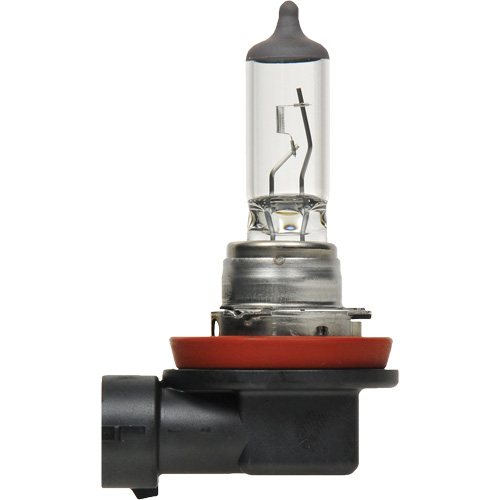 H8 Basic Headlight Bulb, Halogen, 35 W, Off White PB Rental Co. Ltd.