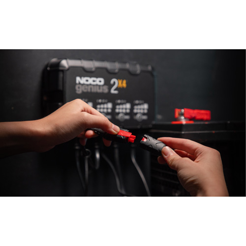 Chargeur de batterie 4 sorties de 8 A Genius 2X4 PB Rental Co. Ltd.