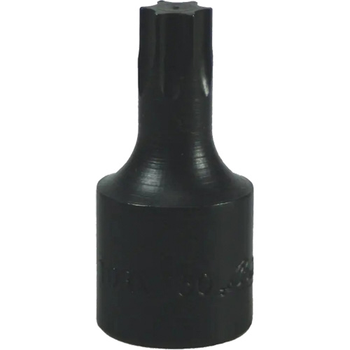 Embout Torx&reg; T-50 PB Rental Co. Ltd.