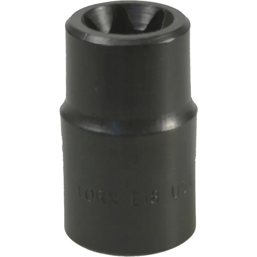 Douille Torx&reg; E-18 PB Rental Co. Ltd.