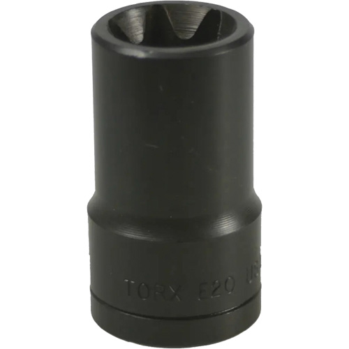 Douille Torx&reg; E-20 PB Rental Co. Ltd.