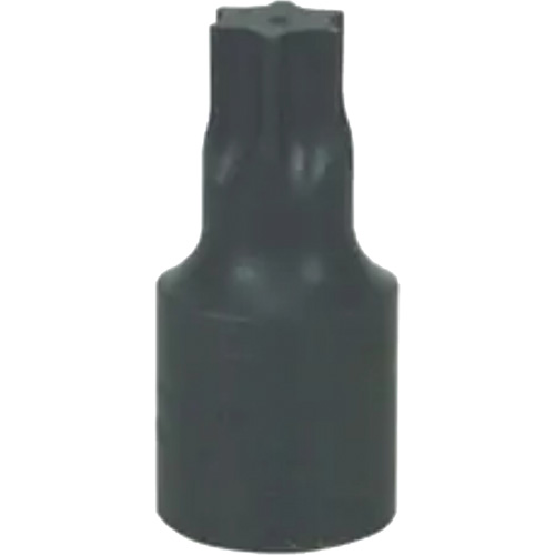 Grand embout Torx&reg; T-70 PB Rental Co. Ltd.