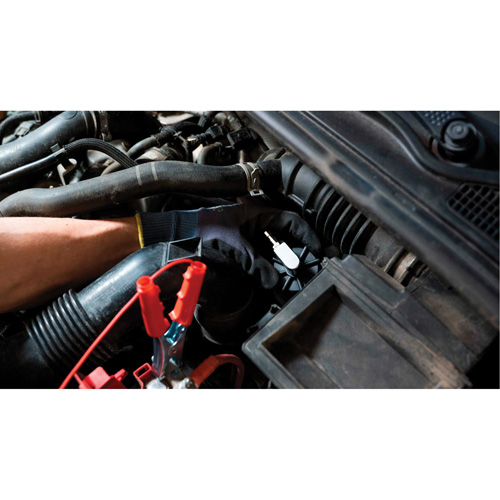 Short Frame Brake-Pro Pressure Brake Bleeder with Adapters PB Rental Co. Ltd.