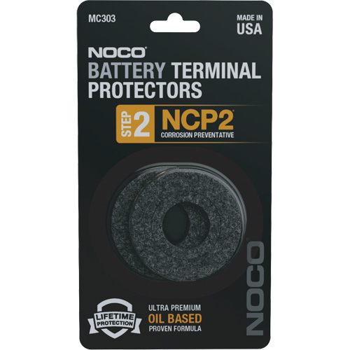 NCP2 Battery Terminal Protectors PB Rental Co. Ltd.