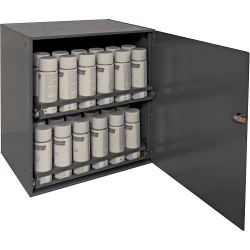 Aerosol Storage Cabinet, Steel, 21-7/8" H x 15-15/16" W x 20-5/16" D, Grey PB Rental Co. Ltd.